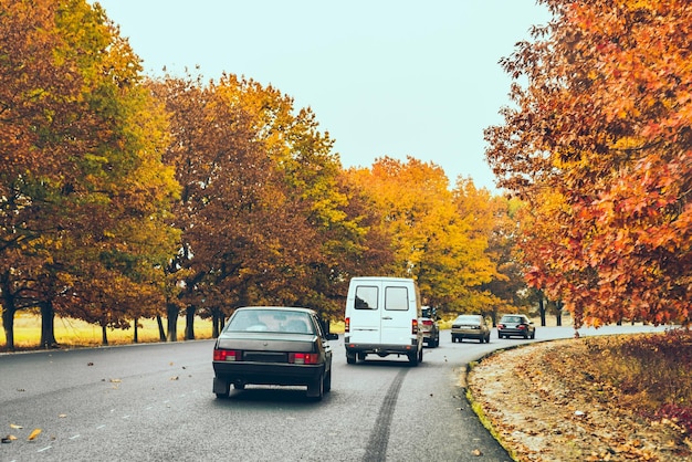 Widok jesiennej autostrady jesiennej