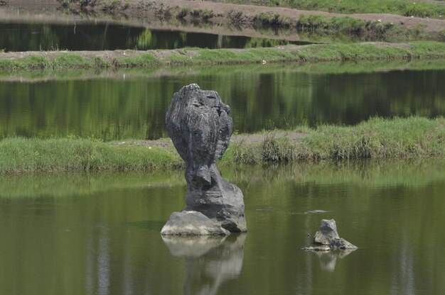 Zdjęcie widok kaczki na jeziorze