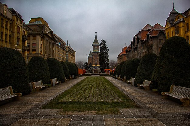 Widok katedry w mieście