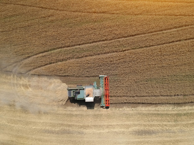 Widok kombajnu pracującego w polu