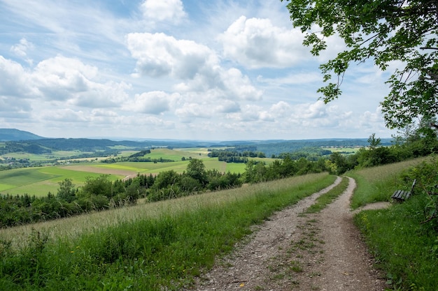 Widok krajobrazu na tle nieba w czarnym lesie