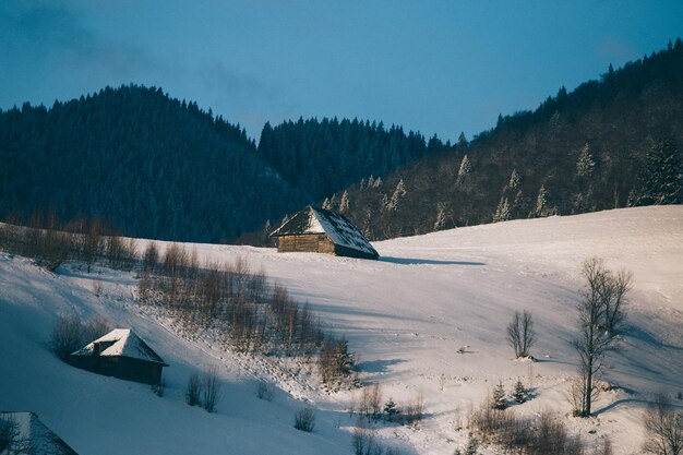 Widok krajobrazu na tle nieba w zimie