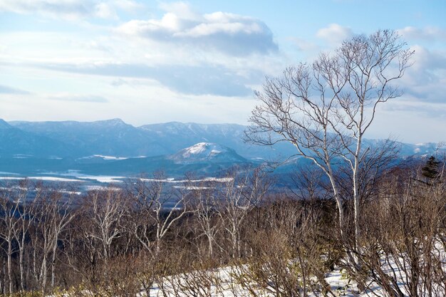 Zdjęcie widok krajobrazu na tle nieba w zimie