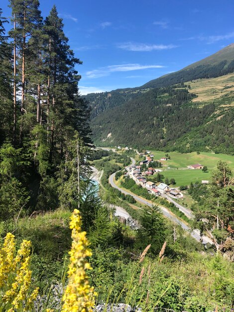 Widok Krajobrazu Na Tle Nieba