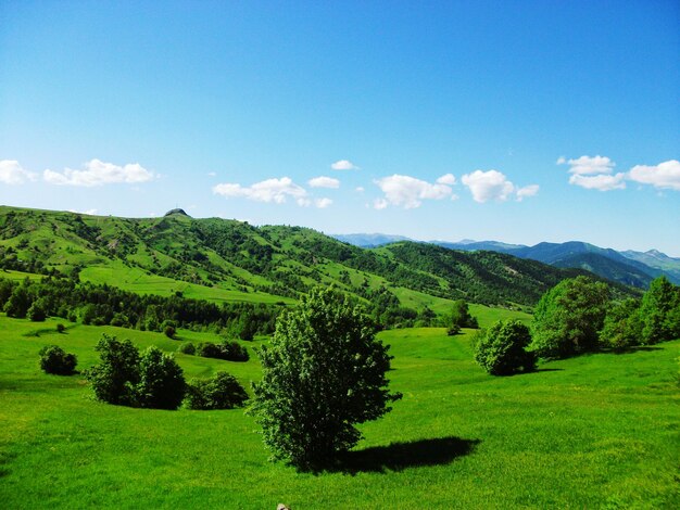 Widok krajobrazu na tle nieba