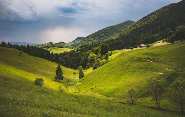 Widok krajobrazu na tle nieba