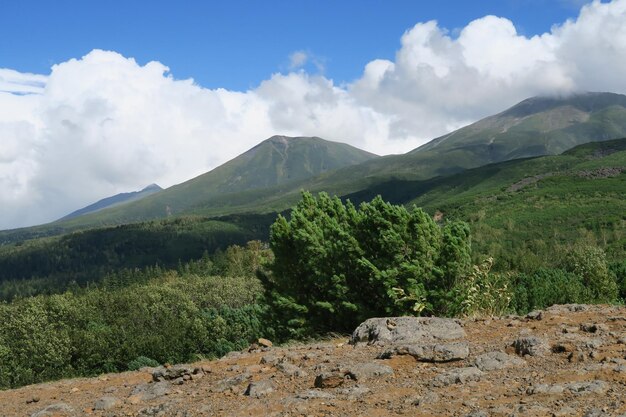 Widok krajobrazu na tle nieba