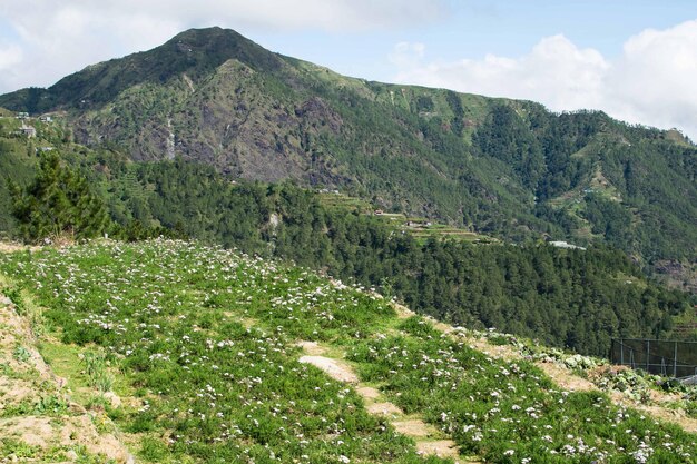 Widok Krajobrazu Na Tle Nieba