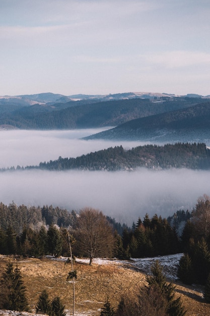 Widok krajobrazu na tle nieba