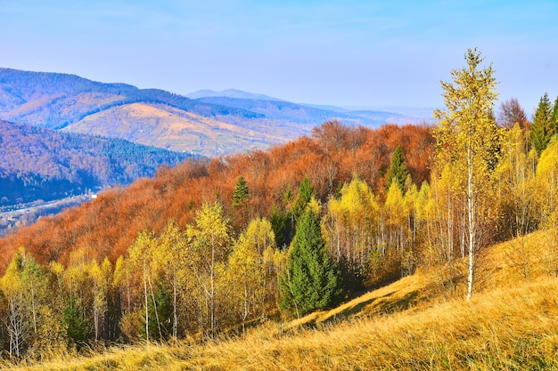 Widok krajobrazu na tle nieba