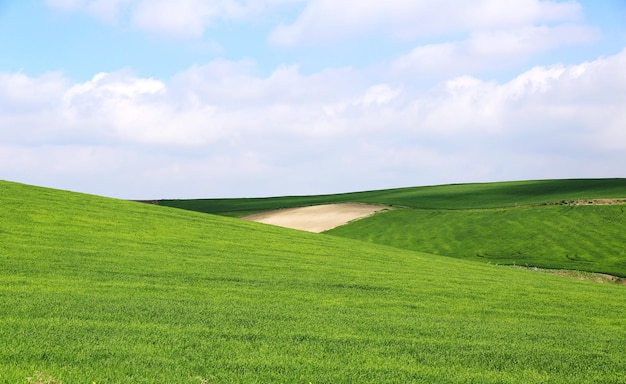 Widok krajobrazu na tle nieba