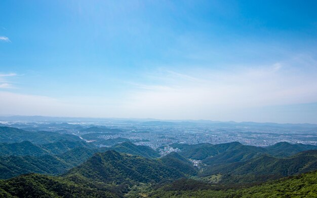 Widok krajobrazu na zielone drzewo na górze Mudeungsan w Gwangju w Korei Południowej