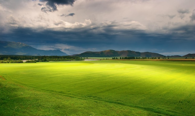 Widok krajobrazu