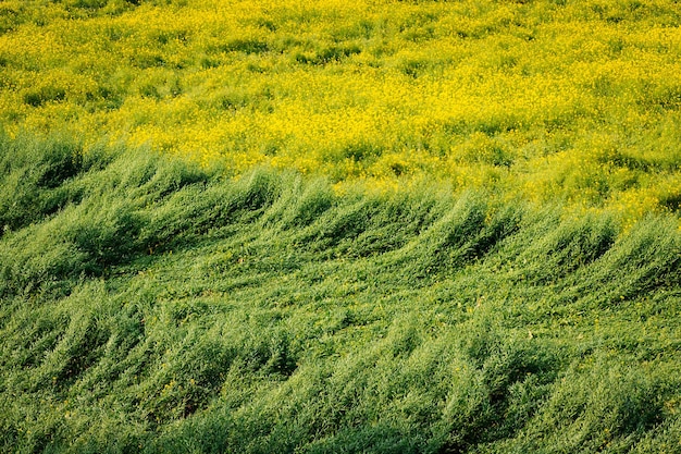 Zdjęcie widok krajobrazu