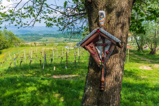 Zdjęcie widok krzyża na pniu drzewa