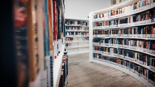 Widok książek w bibliotece.