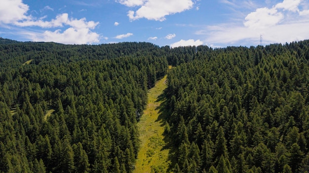 Widok lotniczy z drona na zielone łąki i lasy sosnowe, drzewa leśne na górze, krajobraz przyrody, malownicze miejsca