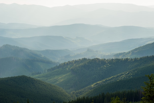 Widok mgliste mgieł góry w jesieni