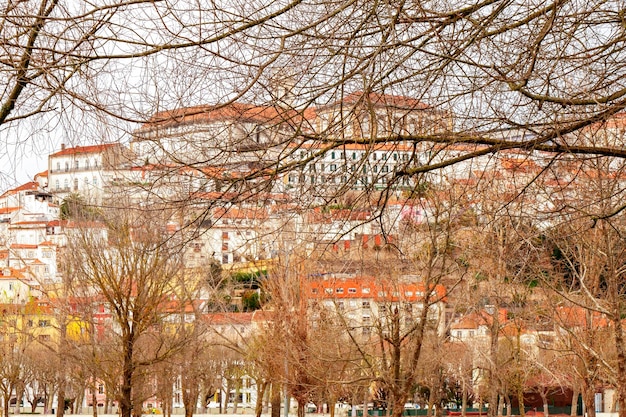 widok miasta Coimbra z lewego brzegu rzeki Mondego