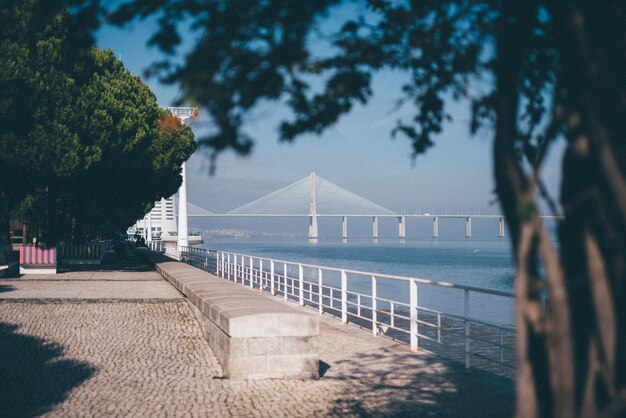 Zdjęcie widok mostu wiszącego
