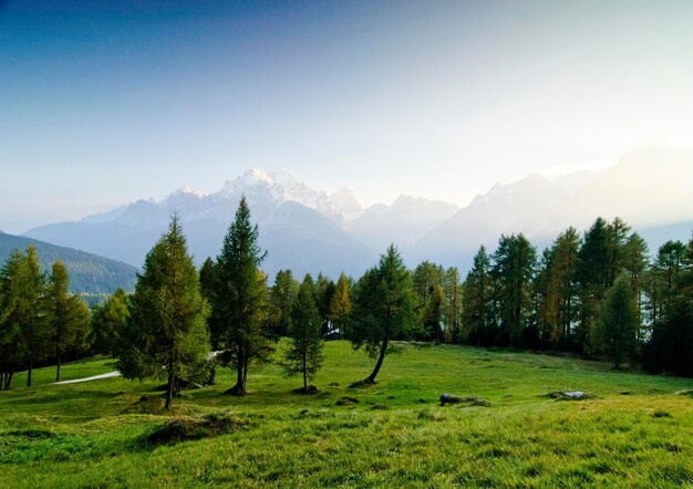 Widok na alpejskie pastwiska na szczyty Dolomitów Sextener w Południowym Tyrolu we Włoszech