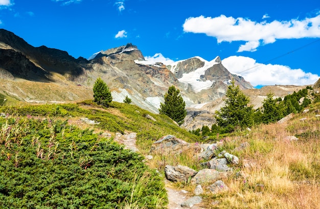 Widok Na Alpy Szwajcarskie W Pobliżu Zermatt