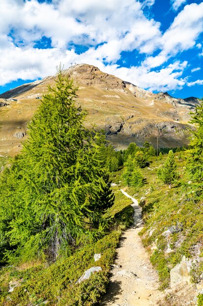 Widok Na Alpy Szwajcarskie W Pobliżu Zermatt