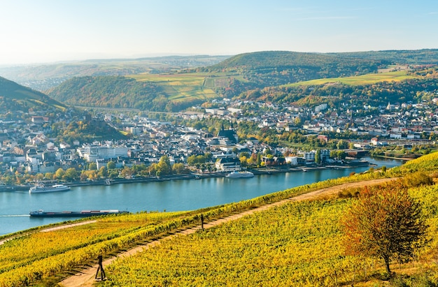 Widok na Bingen am Rhein z winnic Rudesheim w Niemczech