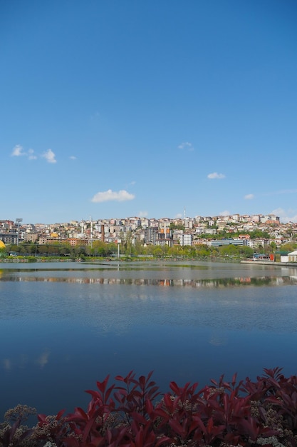 Widok na Bosfor w Stambule w Turcji