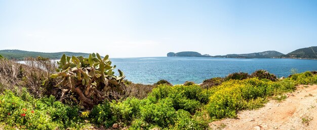 Widok Na Capo Caccia Z Wybrzeża W Pobliżu Maristella