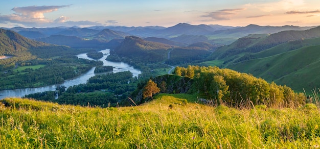 Widok na dolinę i rzekę Katun z góry Wiosenny widok wieczorem światło