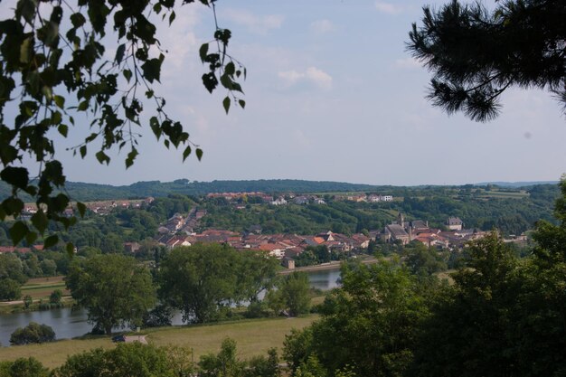 Zdjęcie widok na drzewa i domy w tle nieba