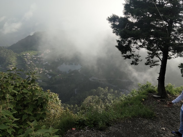 Zdjęcie widok na drzewa i góry w mglistą pogodę