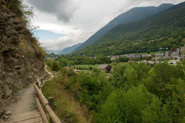 Widok na drzewa i góry w tle nieba