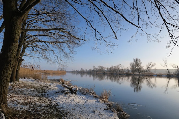 Zdjęcie widok na drzewa i jezioro na tle nieba