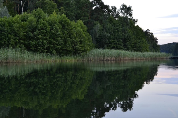 Zdjęcie widok na drzewa odbijające się na jeziorze