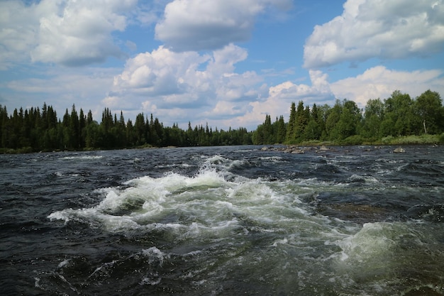 Widok na drzewa w tle nieba