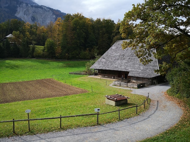 Zdjęcie widok na farmę na tle drzew