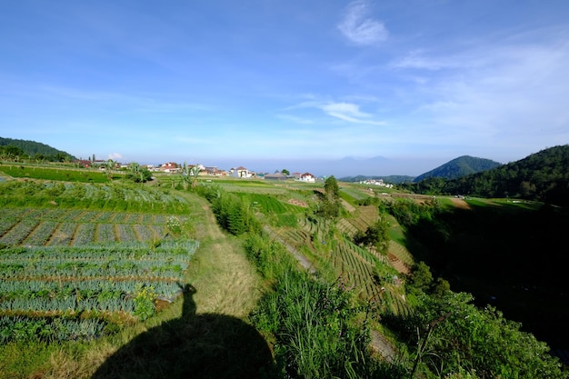 Widok na farmę z dachu domu tropikalnej ziemi rolnej na zboczach góry