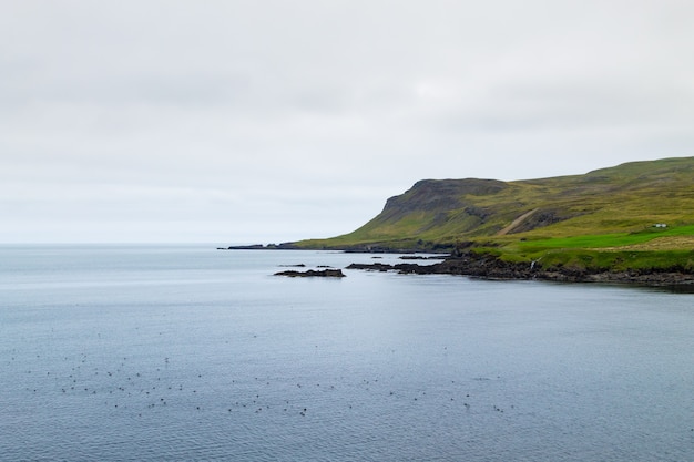 Widok na fiord Borgarfjordur, wschodnia Islandia. Islandzki krajobraz