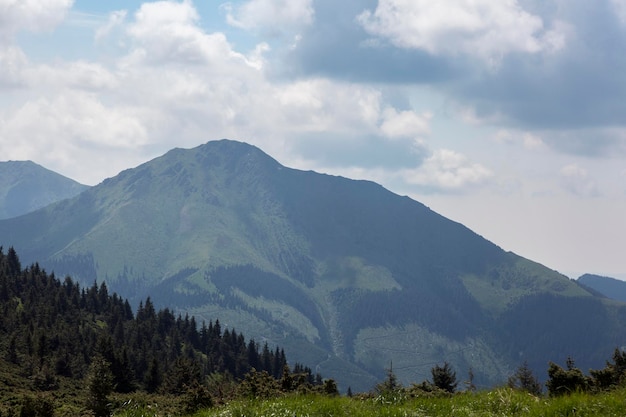 Widok na górę Varful Farcau Karpaty Góry Marmarosz Rumunia