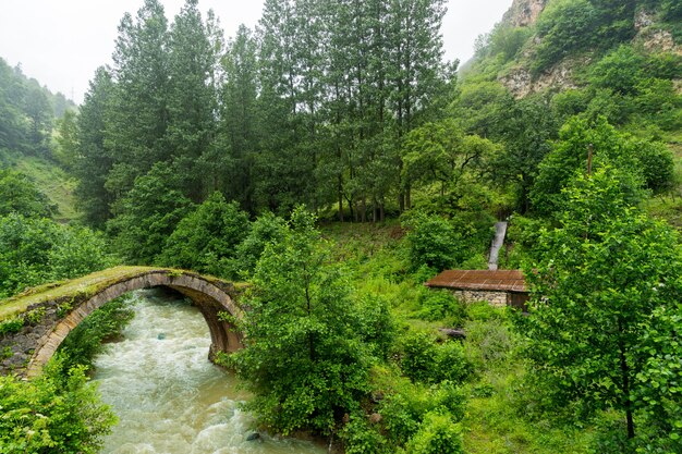 Widok Na Górski Most łukowy, Giresun - Turcja