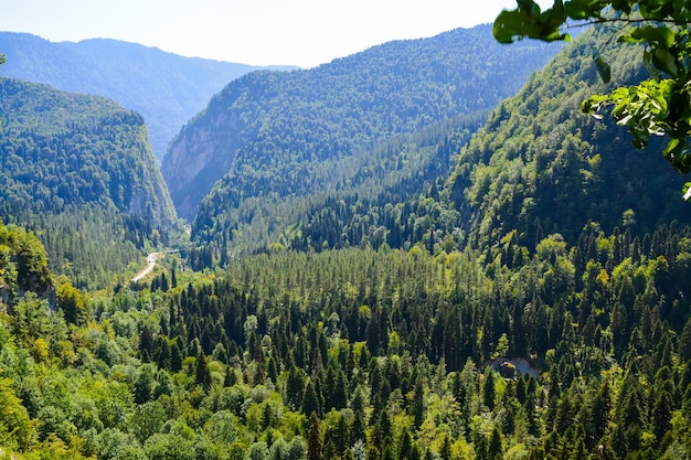 Widok na góry i dolinę