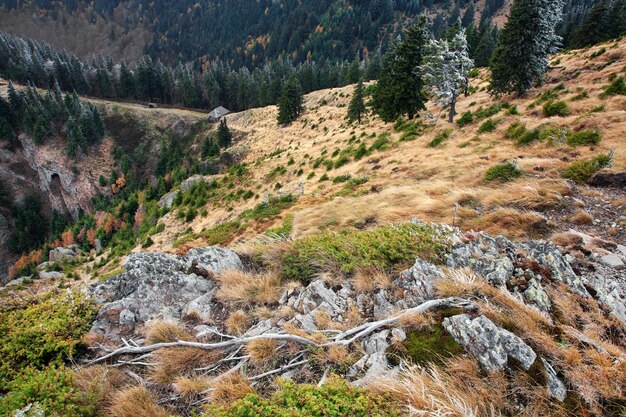 Zdjęcie widok na góry karpaty