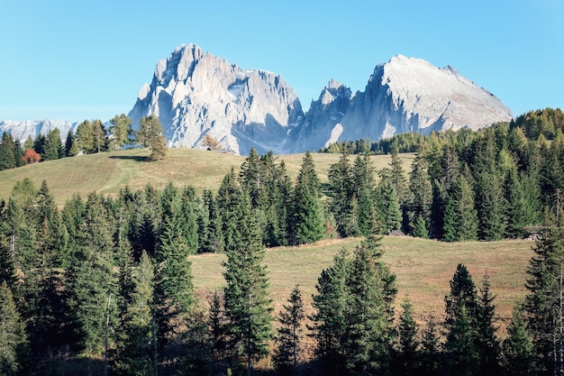 Widok na góry Langkofel Group Sassolungo i Sassopiatto w Seiser Alm, Południowy Tyrol, Włochy