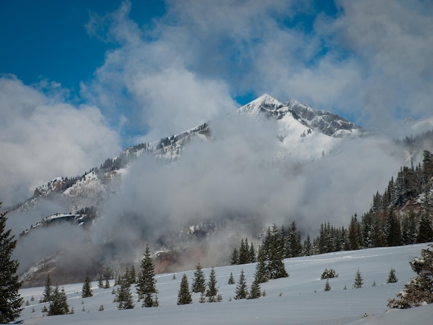 Widok na góry w pobliżu Ouray w stanie Kolorado.