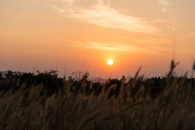 Widok na góry, wschód słońca