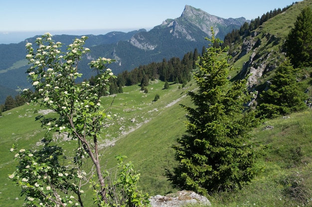 Widok Na Góry