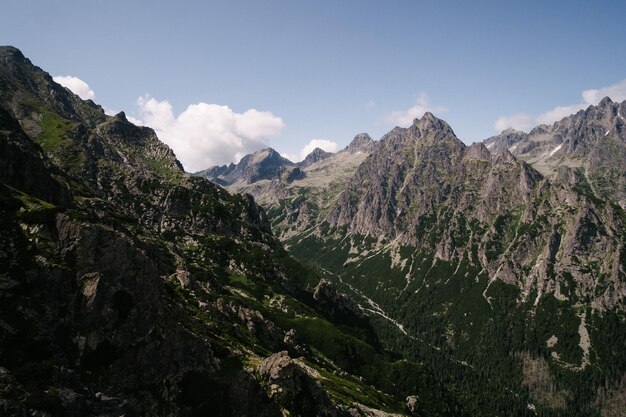 Widok na góry