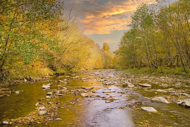 Widok na idylliczny krajobraz nad rzeką, gdy słońce za chwilę zajdzie nad wzgórzem w kolorowy jesienny dzień